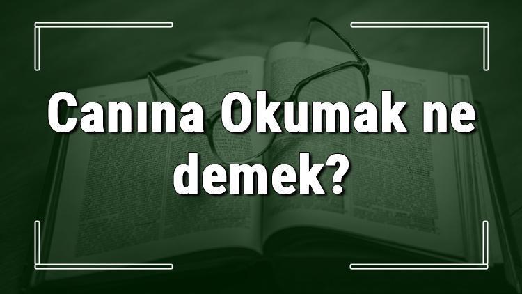 Canına Okumak ne demek Canına Okumak deyiminin anlamı ve örnek cümle içinde kullanımı (TDK)