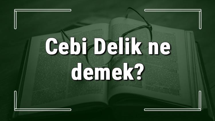 Cebi Delik ne demek Cebi Delik deyiminin anlamı ve örnek cümle içinde kullanımı (TDK)