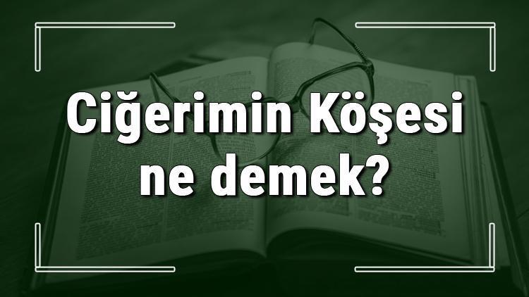 Ciğerimin Köşesi ne demek Ciğerimin Köşesi deyiminin anlamı ve örnek cümle içinde kullanımı (TDK)