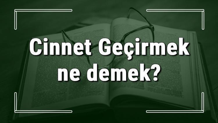 Cinnet Geçirmek ne demek Cinnet Geçirmek deyiminin anlamı ve örnek cümle içinde kullanımı (TDK)