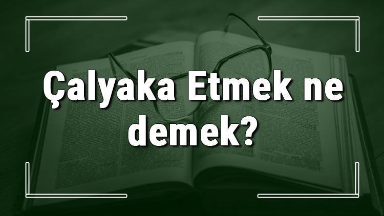 Çalyaka Etmek ne demek Çalyaka Etmek deyiminin anlamı ve örnek cümle içinde kullanımı (TDK)