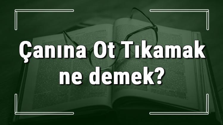 Çanına Ot Tıkamak ne demek Çanına Ot Tıkamak deyiminin anlamı ve örnek cümle içinde kullanımı (TDK)