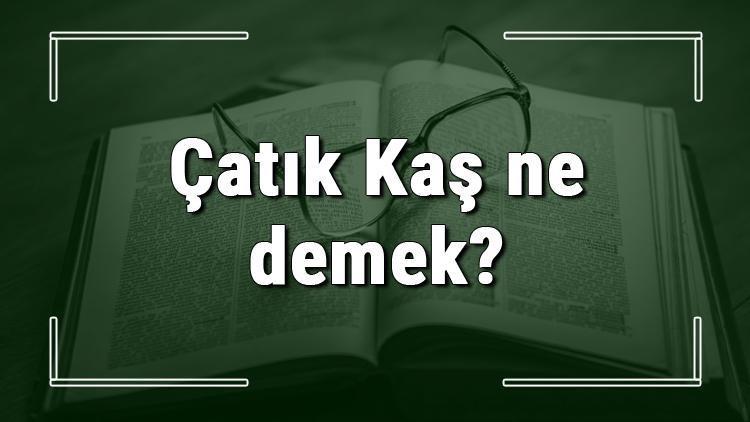 Çatık Kaş ne demek Çatık Kaş deyiminin anlamı ve örnek cümle içinde kullanımı (TDK)