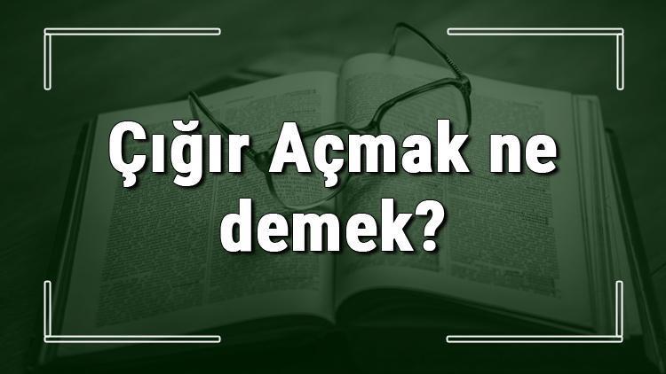 Çığır Açmak ne demek Çığır Açmak deyiminin anlamı ve örnek cümle içinde kullanımı (TDK)