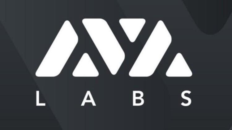 AVAX Coin nedir Avalanche hakkında detaylar