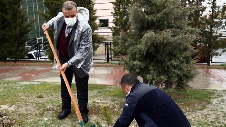 Sağlıkçıların anıları fidanlarla yaşayacak