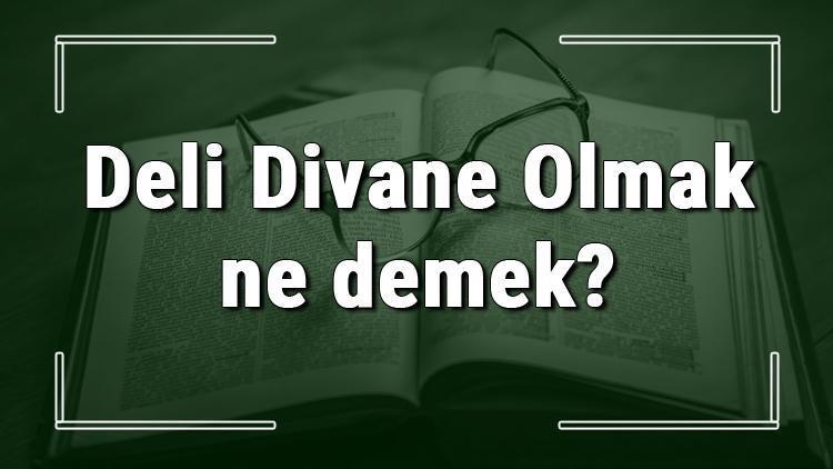 Deli Divane Olmak ne demek Deli Divane Olmak deyiminin anlamı ve örnek cümle içinde kullanımı (TDK)