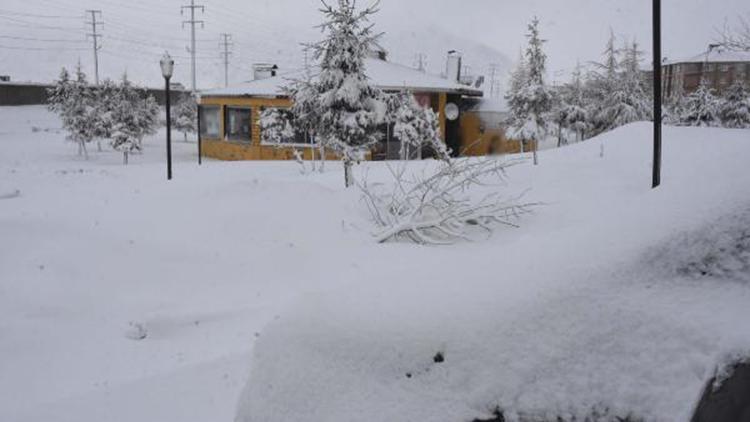 Bitlis’te 47 köy yolu, kardan kapandı