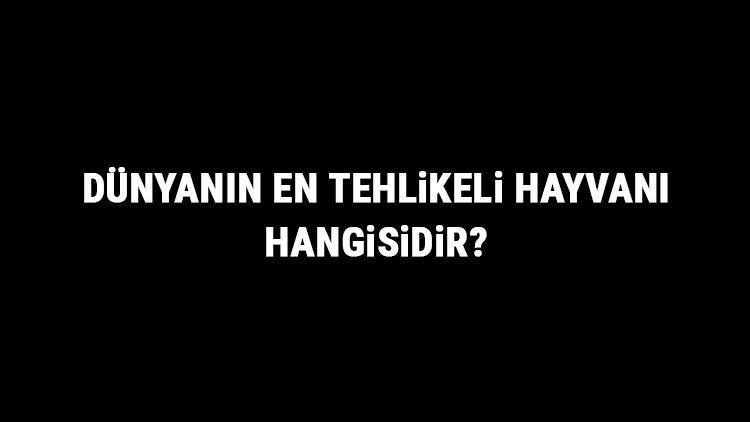 Dünyanın En Tehlikeli Hayvanı Hangisidir Dünyanın En Tehlikeli Hayvanları Ve Özellikleri