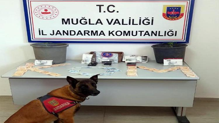 Muğlada torbacı operasyonu: 4 gözaltı