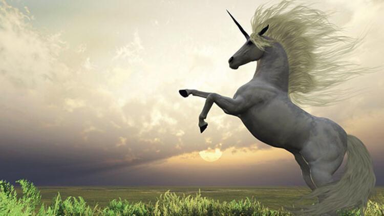 Unicorn ne demek Girişimcilik dünyasında Unicorn tabirinin anlamı