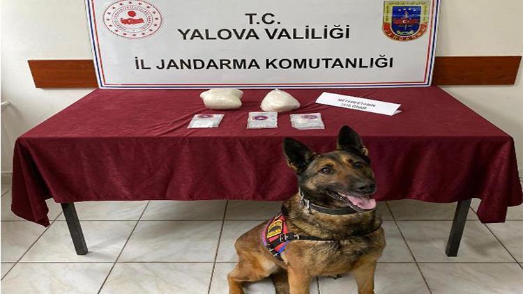 Yalovada uyuşturucu operasyonu: 5 gözaltı