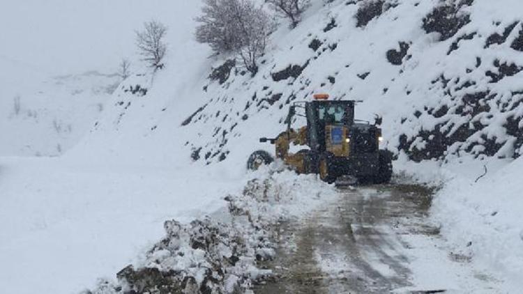 Diyarbakırda, mart sonunda karla mücadele