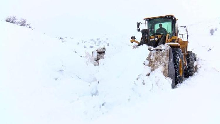 Muş’ta, 159 köy ve mezra yolunda karla mücadele