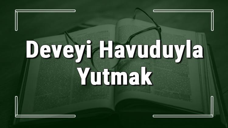 Deveyi Havuduyla Yutmak deyiminin anlamı ve örnek cümle içinde kullanımı (TDK)