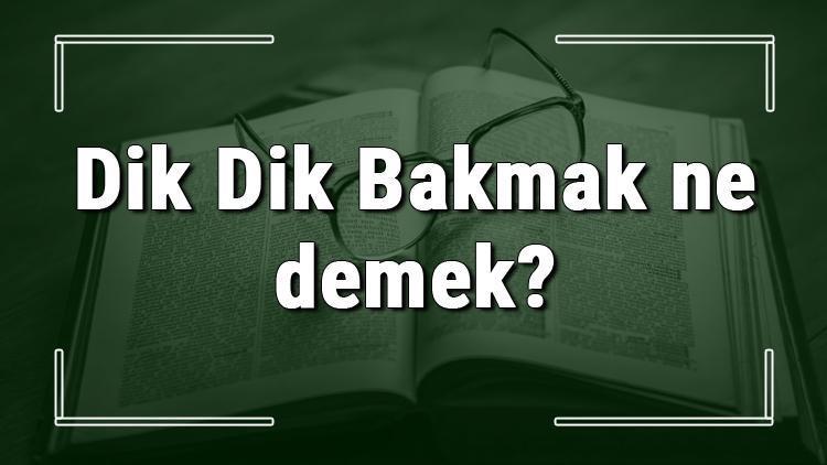 Dik Dik Bakmak ne demek Dik Dik Bakmak deyiminin anlamı ve örnek cümle içinde kullanımı (TDK)