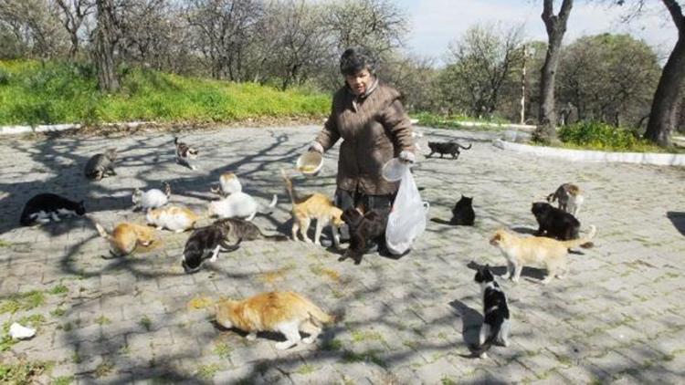 Emekli hemşire 17 yıldır sokak kedilerini besliyor