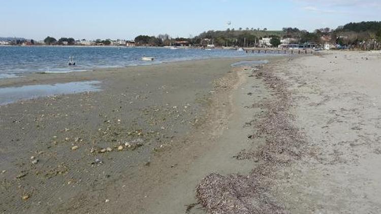 Çanakkalede deniz suyu 20 metre kadar çekildi