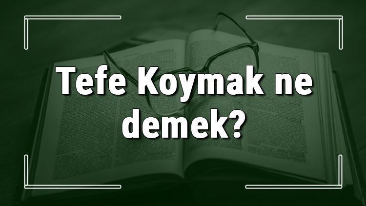 Tefe Koymak ne demek Tefe Koymak deyiminin anlamı ve örnek cümle içinde kullanımı (TDK)