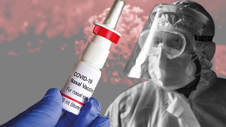 Türkiyede de çalışılıyor... Sprey aşı koronavirüs salgınını bitirebilir