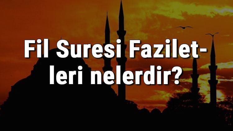 Fil Suresi Faziletleri nelerdir Fil Suresi okumanın faydaları ve sırları