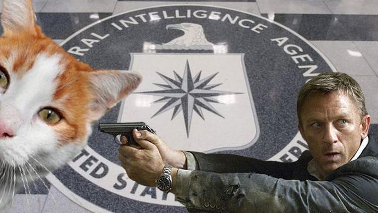 CIAin casus kedi projesi yıllar sonra deşifre oldu