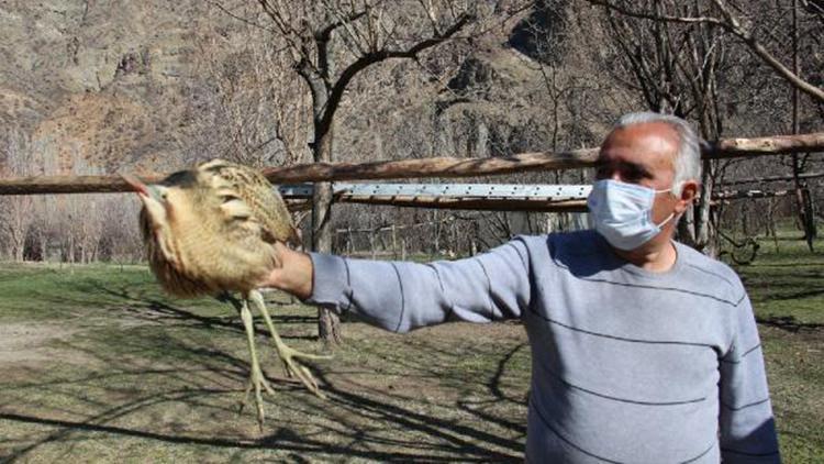 Bahçesinde bitkin bulduğu balabana sahip çıktı