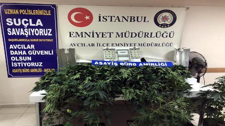 Avcılar’da evi uyuşturucu serasına çevirmişler; 2 kişi gözaltına alındı