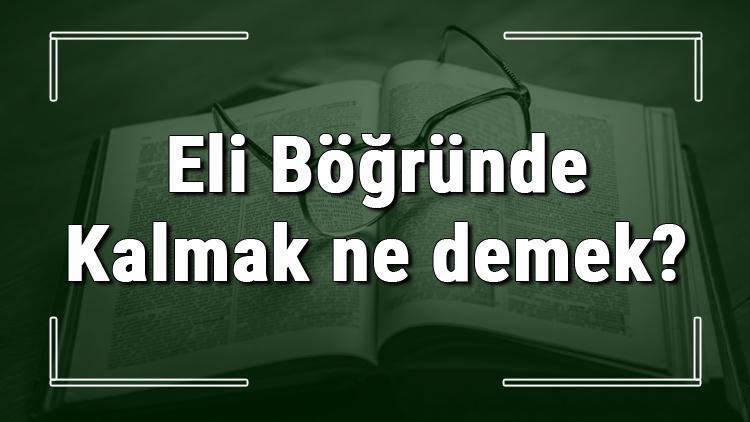 Eli Böğründe Kalmak ne demek Eli Böğründe Kalmak deyiminin anlamı ve örnek cümle içinde kullanımı (TDK)