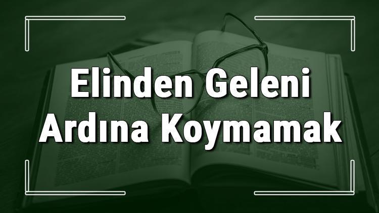 Elinden Geleni Ardına Koymamak deyiminin anlamı ve örnek cümle içinde kullanımı (TDK)