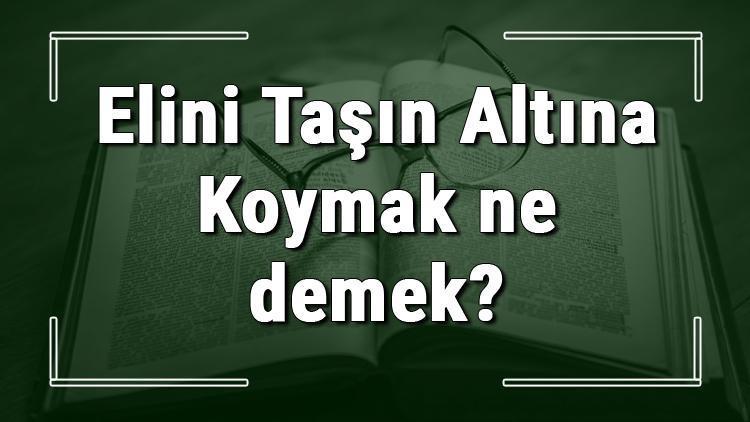 Elini Taşın Altına Koymak ne demek Elini Taşın Altına koymak deyiminin anlamı ve örnek cümle içinde kullanımı (TDK)