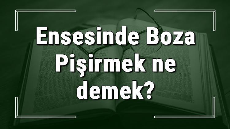 Ensesinde Boza Pişirmek ne demek Ensesinde Boza Pişirmek deyiminin anlamı ve örnek cümle içinde kullanımı (TDK)