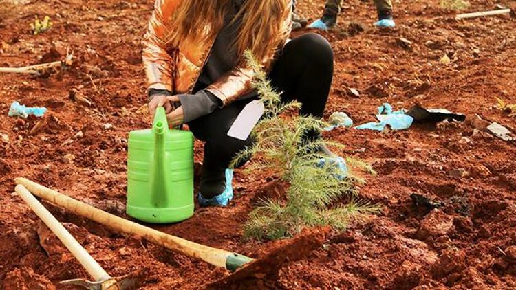 TMMB’den Türkiye’de 30’uncu yıl ‘Hatıra Ormanı’