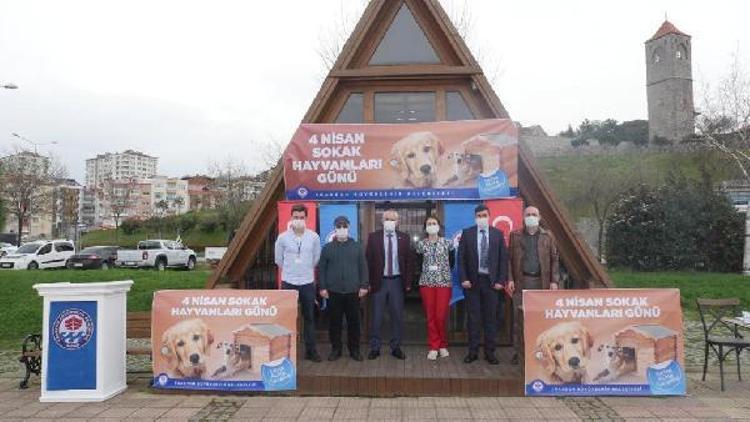 Trabzonda sokak hayvanlarına özel ilgi