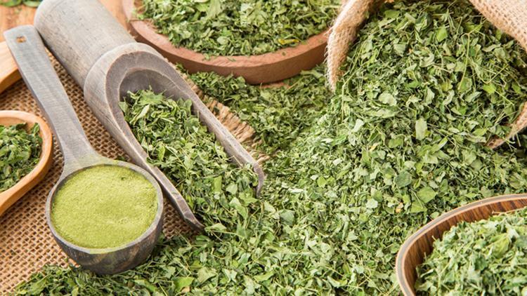 Moringa çayı nedir, nasıl tüketilir İşte moringa çayının faydaları