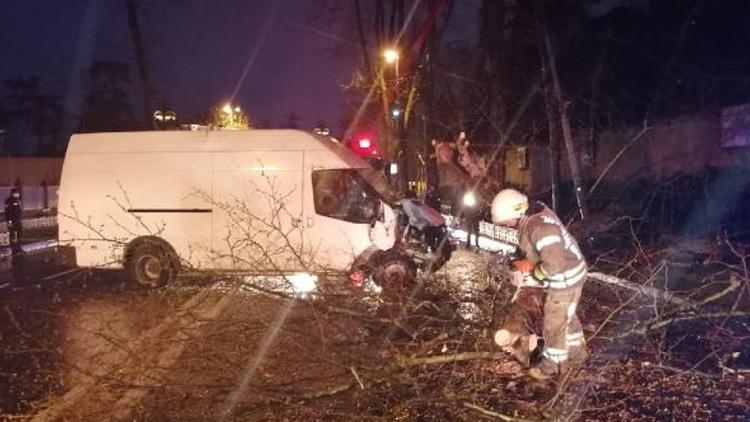 Beşiktaşta panelvan minibüsün çarptığı ağaç devrildi 1 yaralı