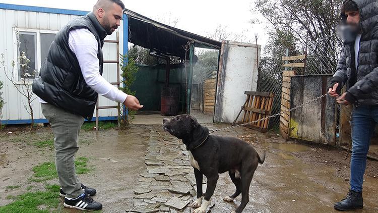 Cinsel saldırı zanlısı, Karlostan kurtulmak için başına sert cisimle vurmuş