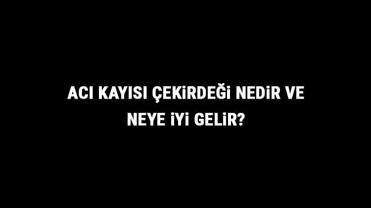 Acı Kayısı Çekirdeği Nedir Ve Neye İyi Gelir Acı Kayısı Çekirdeği Faydaları