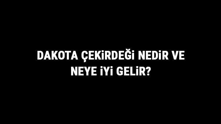 Dakota Çekirdeği Nedir Ve Neye İyi Gelir? Dakota Çekirdeği Faydaları