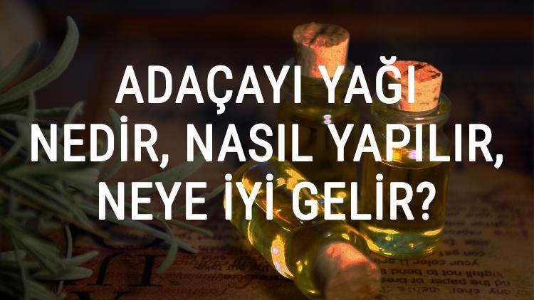 Adaçayı Yağı Nedir, Nasıl Yapılır Ve Neye İyi Gelir Adaçayı Yağı Faydaları Ve Kullanımı