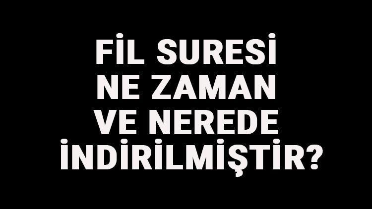 Fil Suresi Ne Zaman Ve Nerede İndirilmiştir Fil Suresi Kaçıncı Sayfada Ve Kaç Ayetten Oluşur