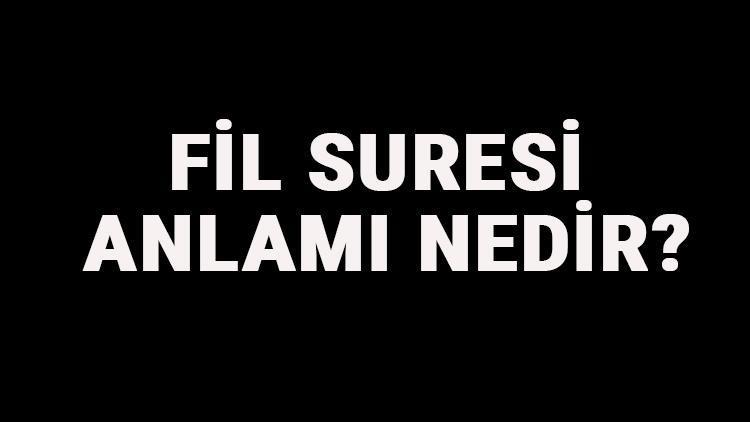 Fil Suresi Anlamı Nedir Fil Suresi Konusu Ve Hikayesi Hakkında Bilgi