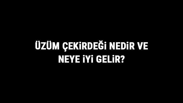 Üzüm Çekirdeği Nedir Ve Neye İyi Gelir Üzüm Çekirdeği Faydaları