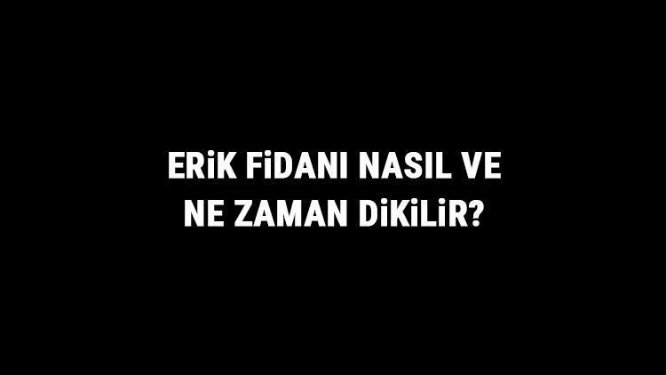 Erik Fidanı Nasıl Ve Ne Zaman Dikilir? Erik Fidanı Yetiştirme, Bakımı Ve Fiyatları