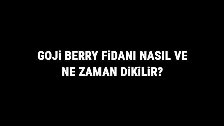 Goji Berry Fidanı Nasıl Ve Ne Zaman Dikilir? Goji Berry Fidanı Yetiştirme, Bakımı Ve Fiyatları