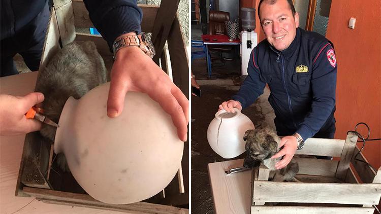 Başı plastik kavanoza sıkışan yavru köpeği itfaiye kurtardı