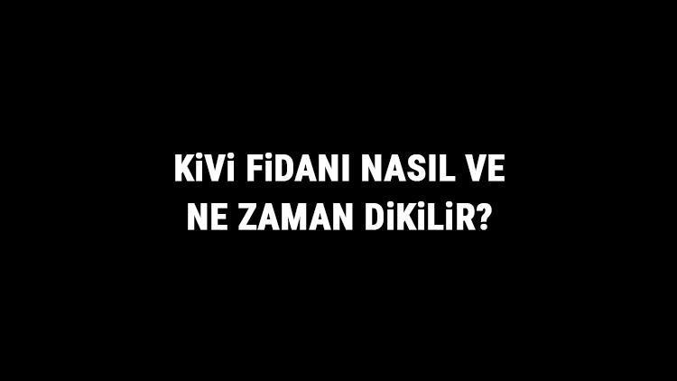 Kivi Fidanı Nasıl Ve Ne Zaman Dikilir? Kivi Fidanı Yetiştirme, Bakımı Ve Fiyatları