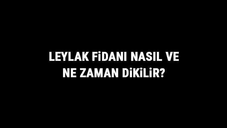 Leylak Fidanı Nasıl Ve Ne Zaman Dikilir? Leylak Fidanı Yetiştirme, Bakımı Ve Fiyatları