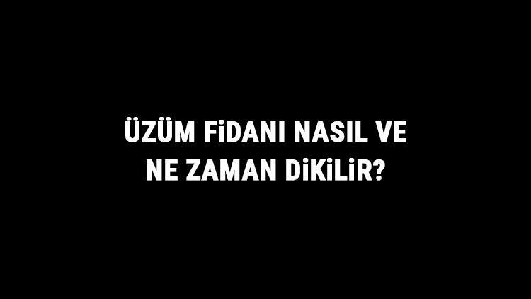 Üzüm Fidanı Nasıl Ve Ne Zaman Dikilir? Üzüm Fidanı Yetiştirme, Bakımı Ve Fiyatları