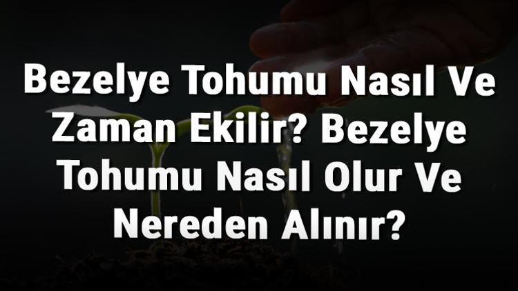 Bezelye Tohumu Nasıl Ve Zaman Ekilir? Bezelye Tohumu Nasıl Olur Ve Nereden Alınır?